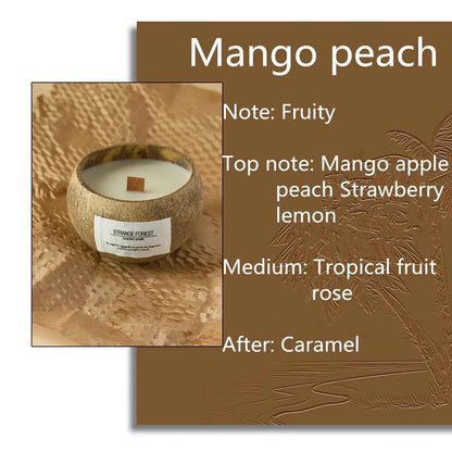 Handmade coconut shell scented candles natural soy wax scented candles, festival gifts home decoration fragrances a gift for her