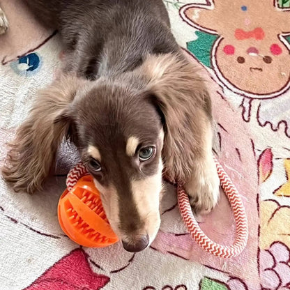 Bite-Resistant Cotton Rope Treat Ball for Dogs