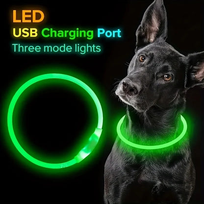 USB Rechargeable LED Light-Up Dog Collar