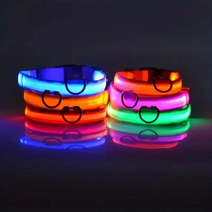 LED Flashing Glow-in-the-Dark Nylon Dog Leash