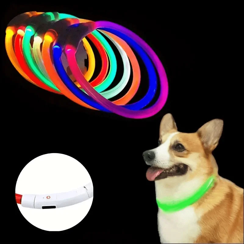 USB Rechargeable LED Light-Up Dog Collar