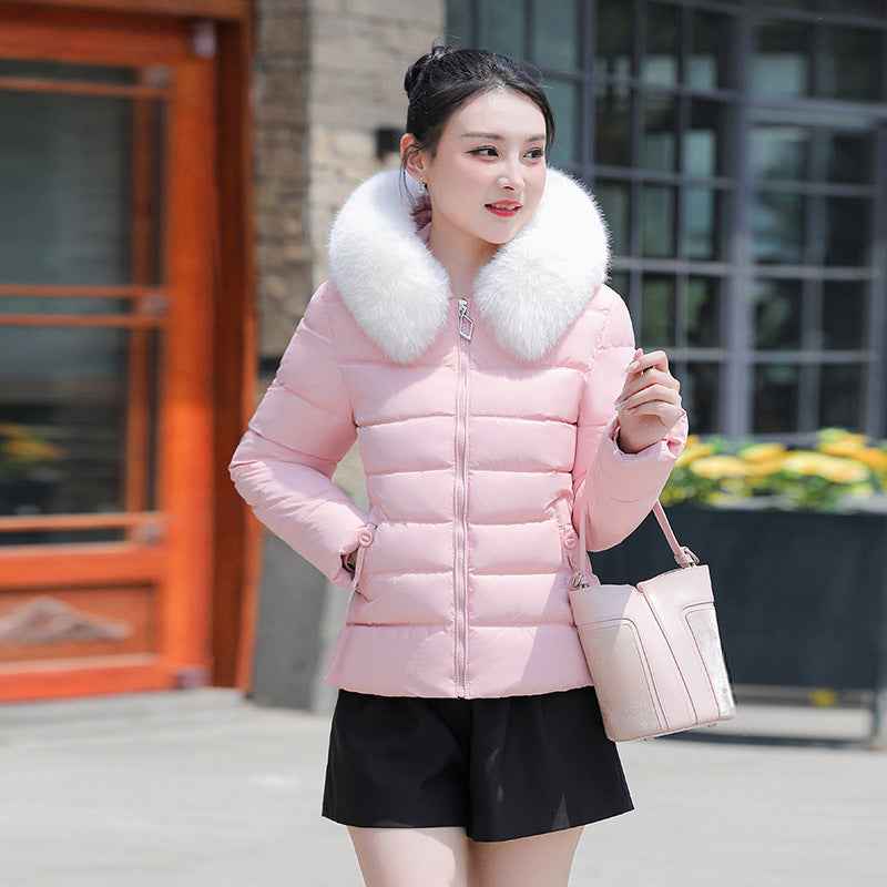 Women's Slim Fit Short Padded Coat With Fur Collar