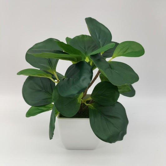 Premium 3D Printed Bonsai Decoration Set - Modern Living Room Plant Ornaments
