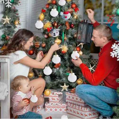 Seashells for Crafting Christmas Ornaments - 24pcs 2-3 Inch Natural White Scallop - DropOnline.co