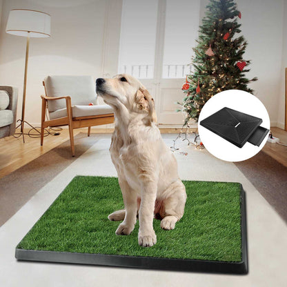 1Pc Dog Potty Training Artificial Grass Pad Pet Cat Toilet Trainer Mat Puppy Loo Tray Turf For Small Medium Dogs Indoor Outdoor Use - DropOnline.co