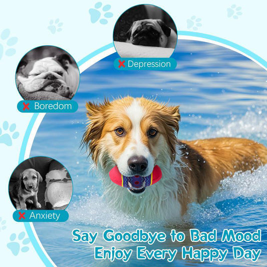 Easter Egg Toys for Pet - Interactive Dog Egg Toy with Squeaky Sound for Aggressive Chewers
