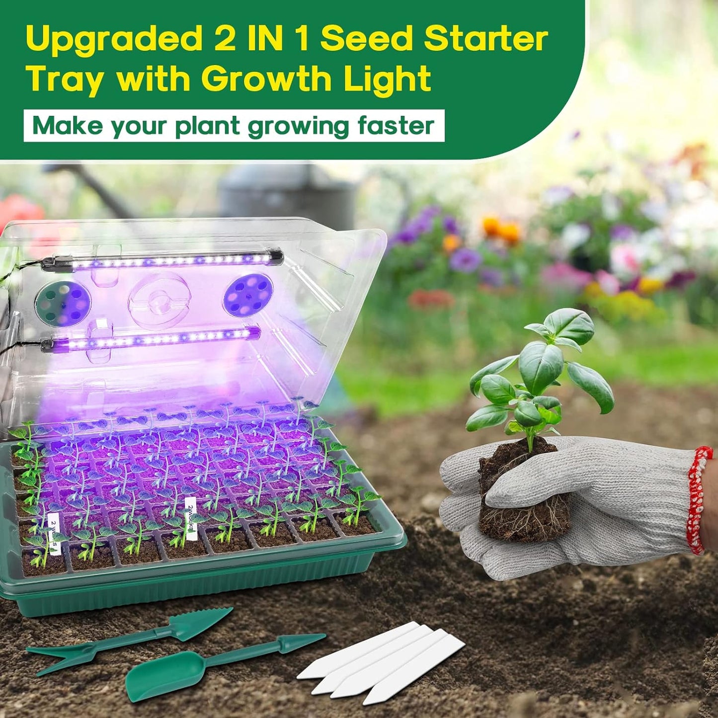 2 Pcs Plant Propagation Station With Grow Light, Seedling Starter Trays With Timing Controller, Plant Tray For Seeds Growing Starting