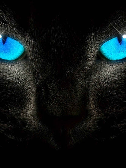 Men's Color Blocked T-Shirt - 3D Heartbeat & Airplane Graphic Summer Tee