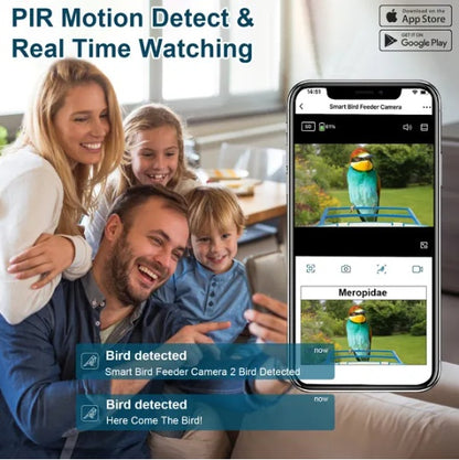 Smart Bird Feeder With Solar Powered Camera 1080P HD AI Identify PIR Motion Auto Capture Video Cloud Card Storage WiFi Connection App Control IP65 Waterproof - DropOnline.co